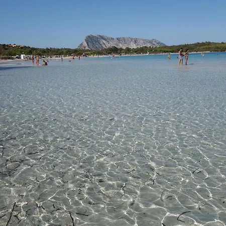 Vacanze A Casa Rosmarina Holiday home *