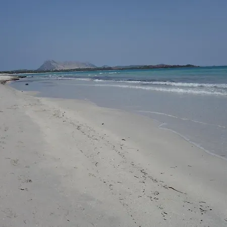 Vacanze A Casa Rosmarina Semesterbostad