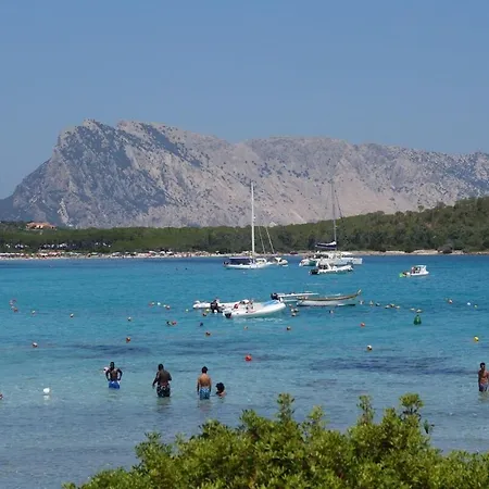 Semesterbostad Vacanze A Casa Rosmarina *